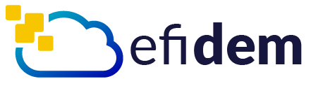 logo efidem