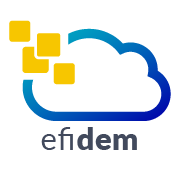 logo Efidem